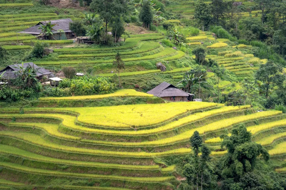 Kho gạo của Đỗ Thị Hoa